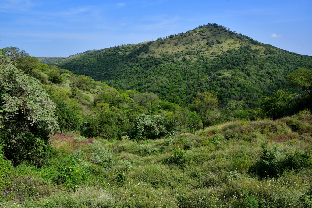 Mago National Park